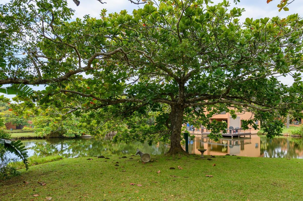 San Lameer Villa 2301 - 2 Bedroom Classic - 4 Pax - San Lameer Rental Agency Southbroom Exterior photo